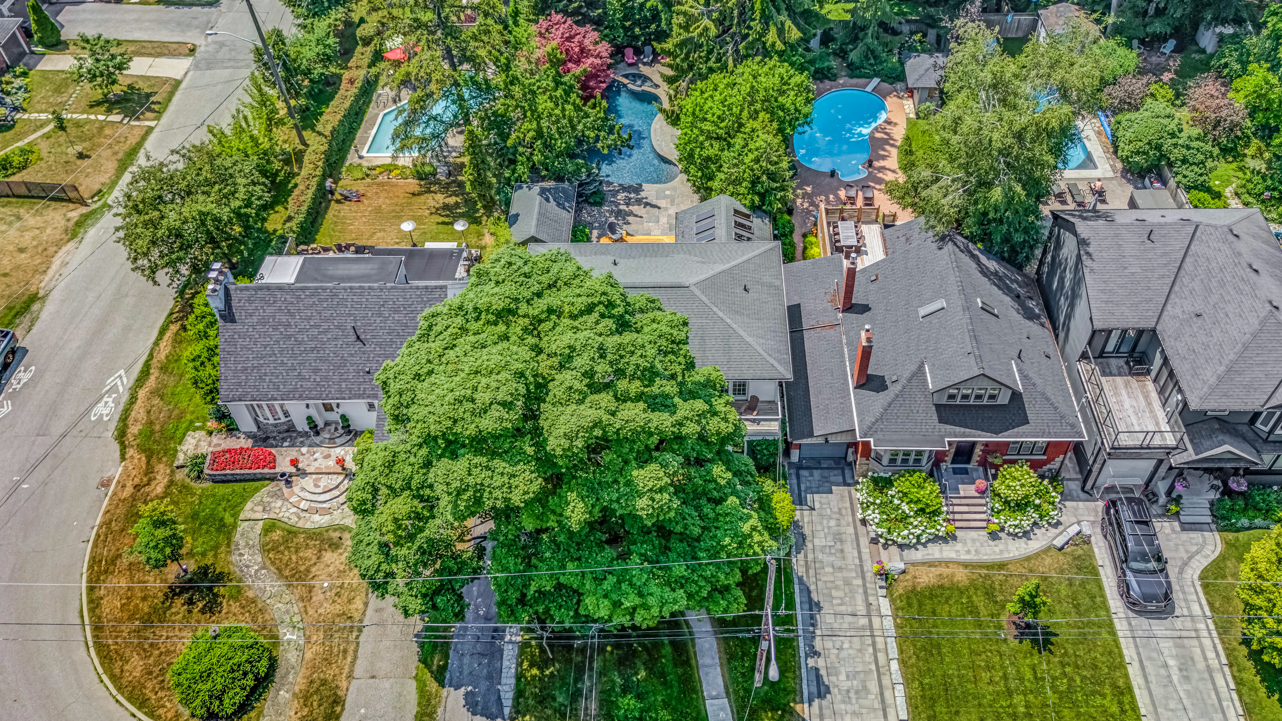 4 Harding Boulevard