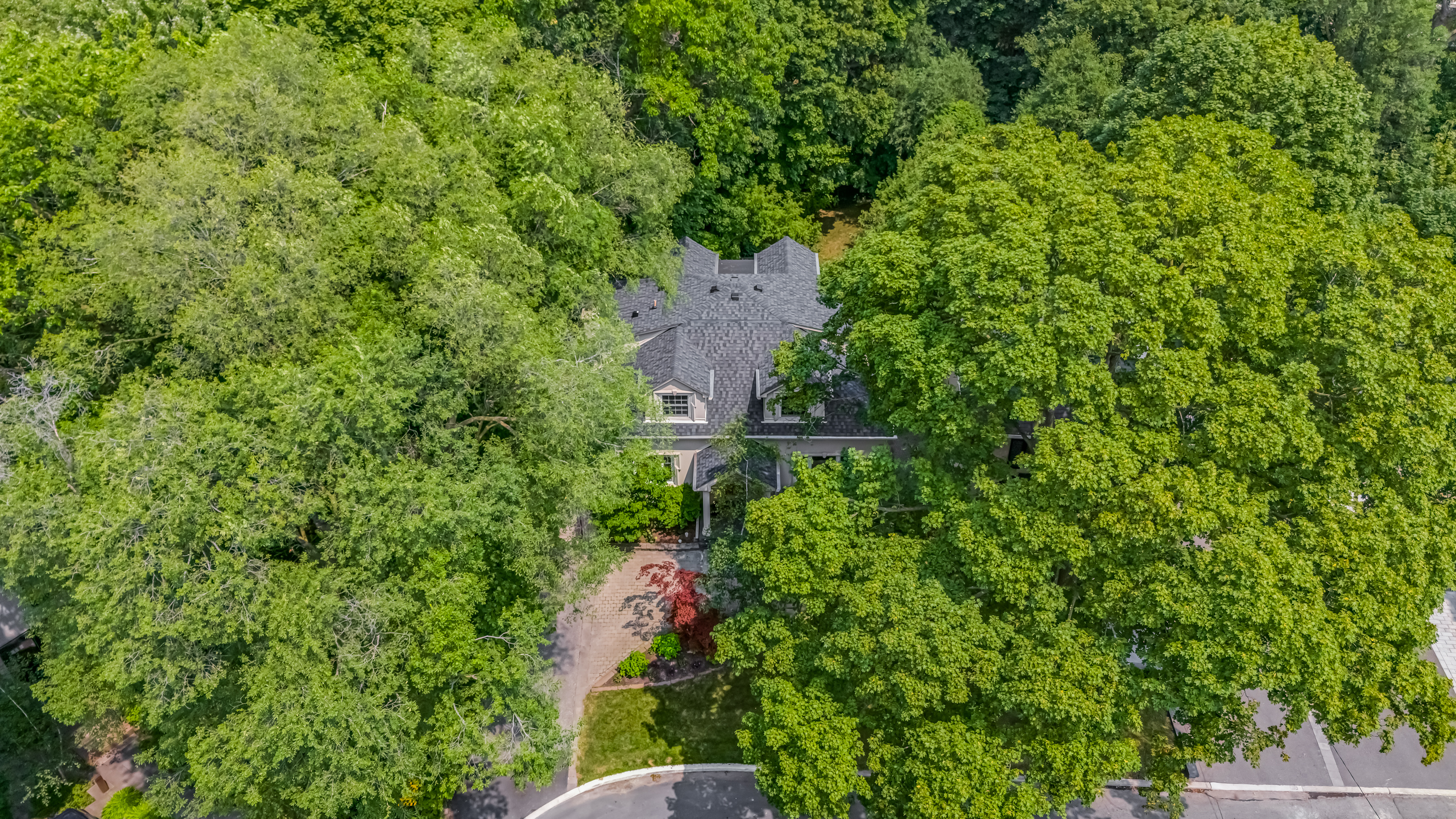 51 Coldstream Avenue