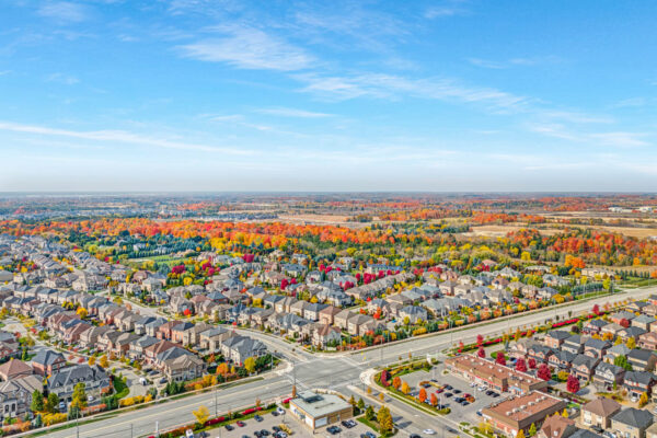 67-Boticelli-Way-Vaughan-Web-Salisbury-63