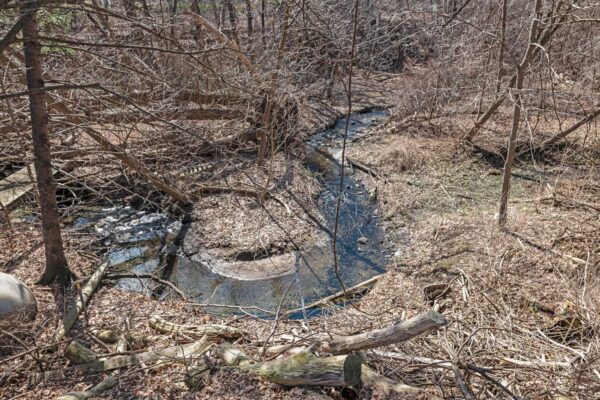 154-Centennial-Road-Toronto-Web-Salisbury-83