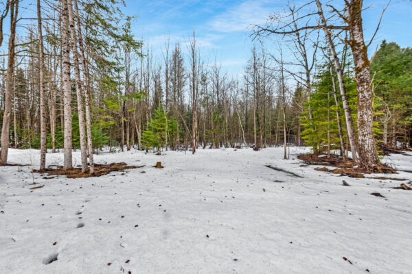 7629-Highway-35-Norland-Web-Salisbury-45