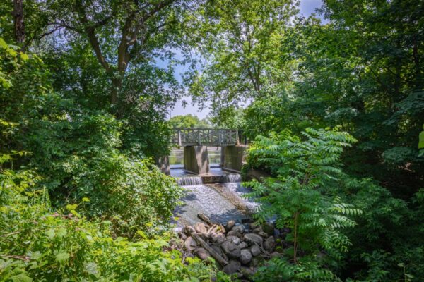 900-Bogart-Mill-Trail-#216-Newmarket-Web-Salisbury-45