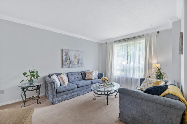 40-Birchard-Boulevard-Mount-Albert-Web-Salisbury-12