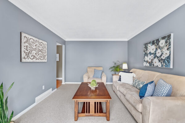 40-Birchard-Boulevard-Mount-Albert-Web-Salisbury-24