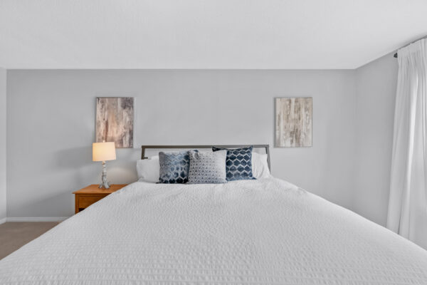 40-Birchard-Boulevard-Mount-Albert-Web-Salisbury-31