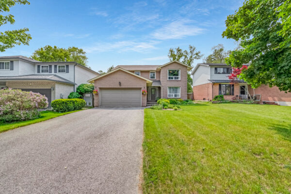 40-Birchard-Boulevard-Mount-Albert-Web-Salisbury-5