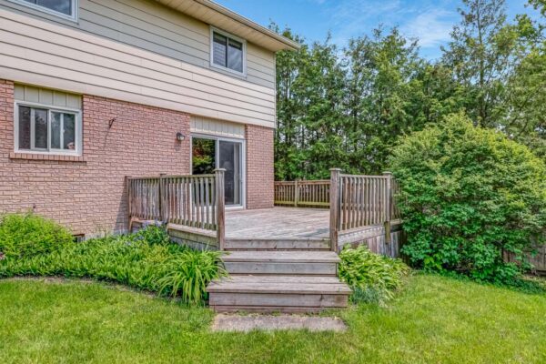 40-Birchard-Boulevard-Mount-Albert-Web-Salisbury-66