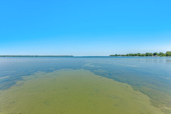 126-Moores-Beach-Road-Georgina-Web-Salisbury-68