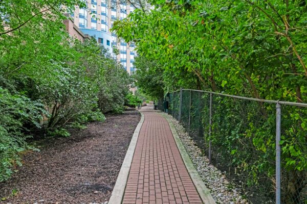 3-Hickory-Tree-#1010-Toronto-Web-Salisbury-47