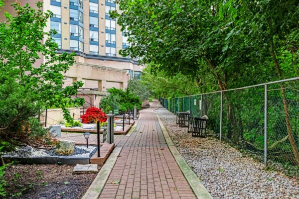 3-Hickory-Tree-#1010-Toronto-Web-Salisbury-48