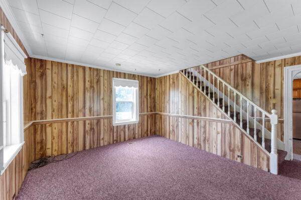 60-Albert-Street-Mount-Albert-Web-Salisbury-12