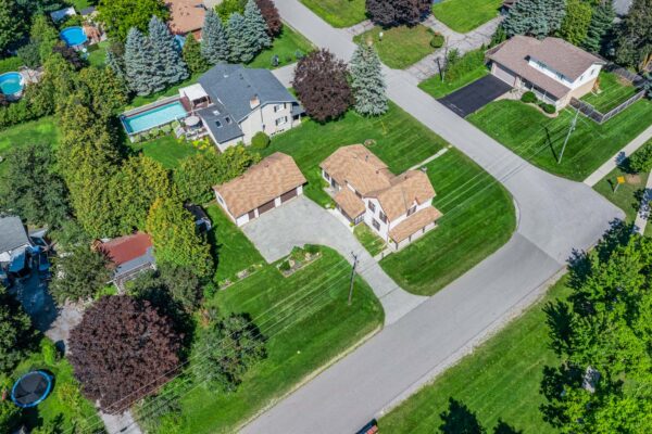 60-Albert-Street-Mount-Albert-Web-Salisbury-2