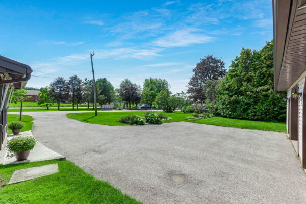 60-Albert-Street-Mount-Albert-Web-Salisbury-45