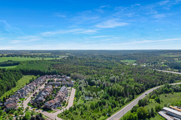 60-Albert-Street-Mount-Albert-Web-Salisbury-58