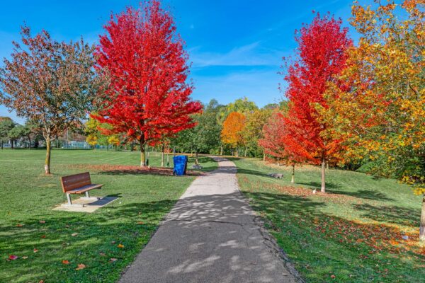26-Millgate-Crescent-Toronto-Web-Salisbury-26