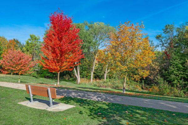 26-Millgate-Crescent-Toronto-Web-Salisbury-27